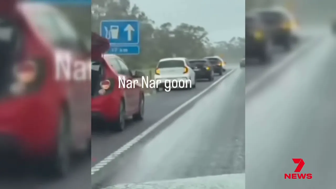 Multiple cars pulled over on freeway