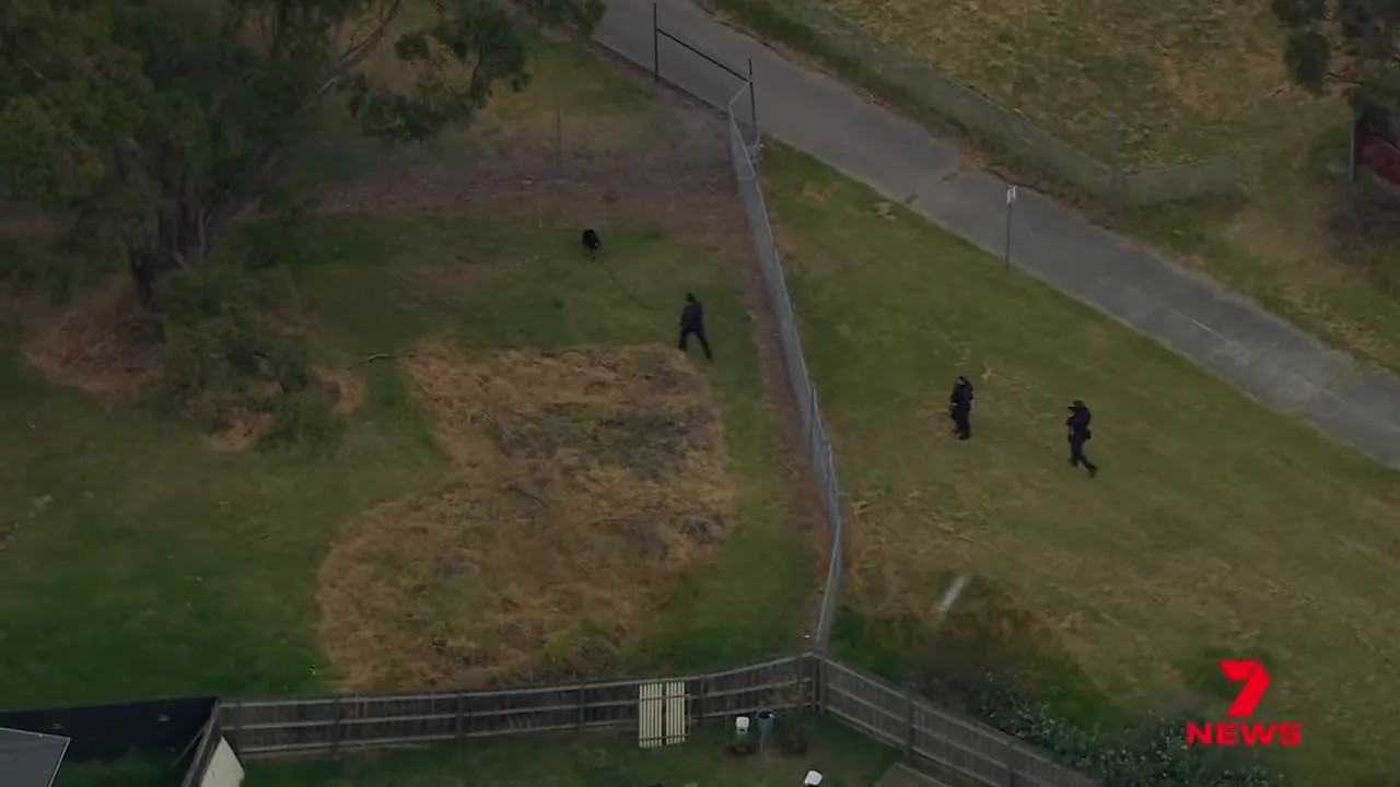 Police dog unit and officers searching bushland beside a fence near the freeway