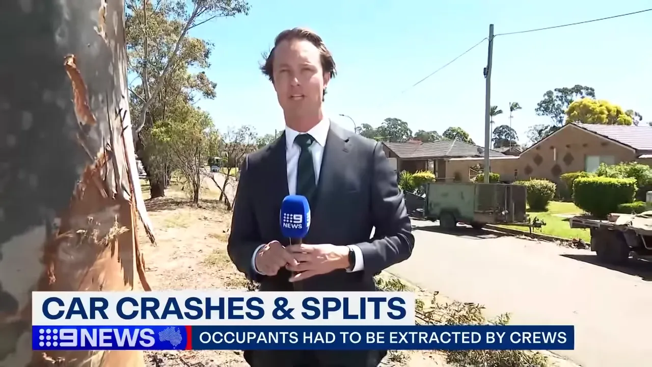 Wreckage of a car split in two after crashing into a tree