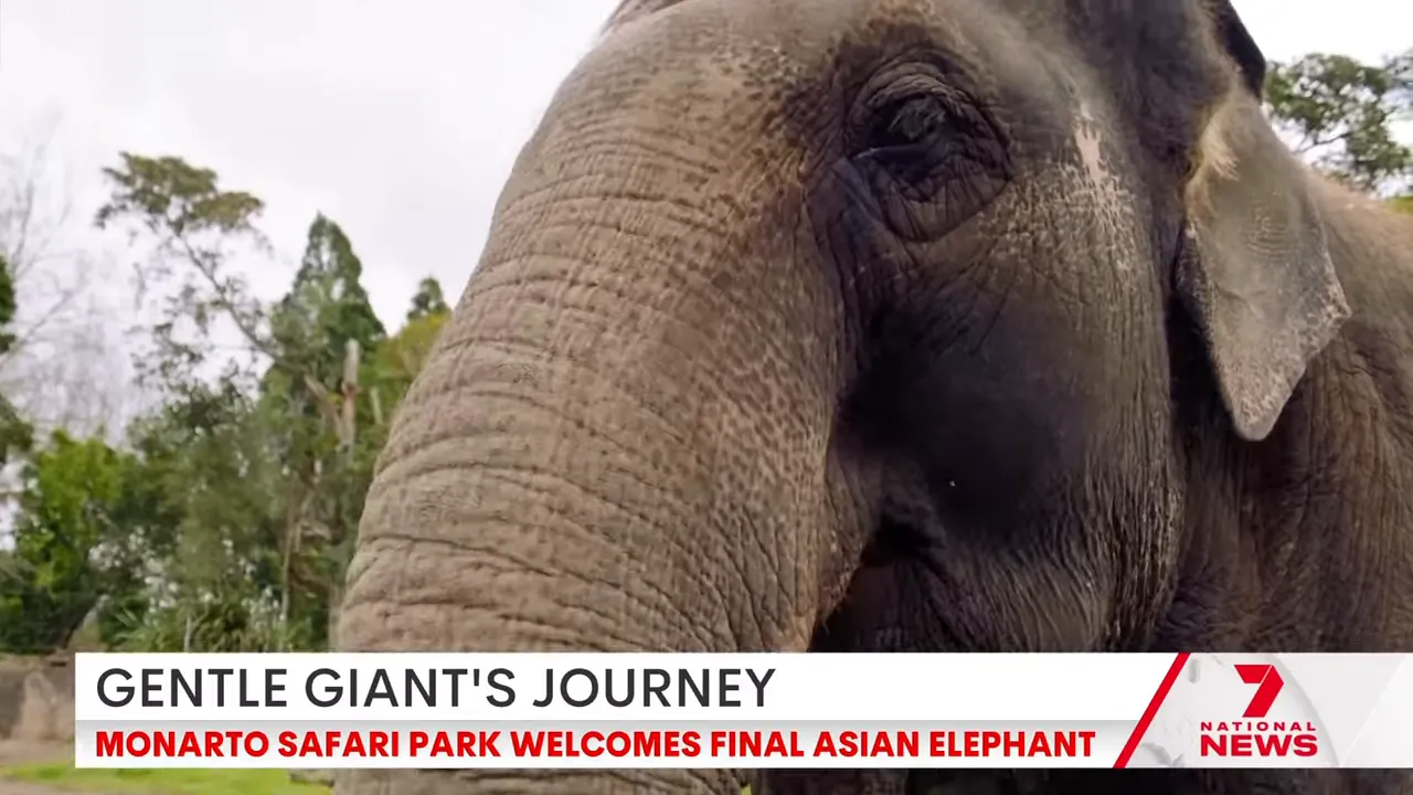 Crate being lifted and unloaded into the enclosure