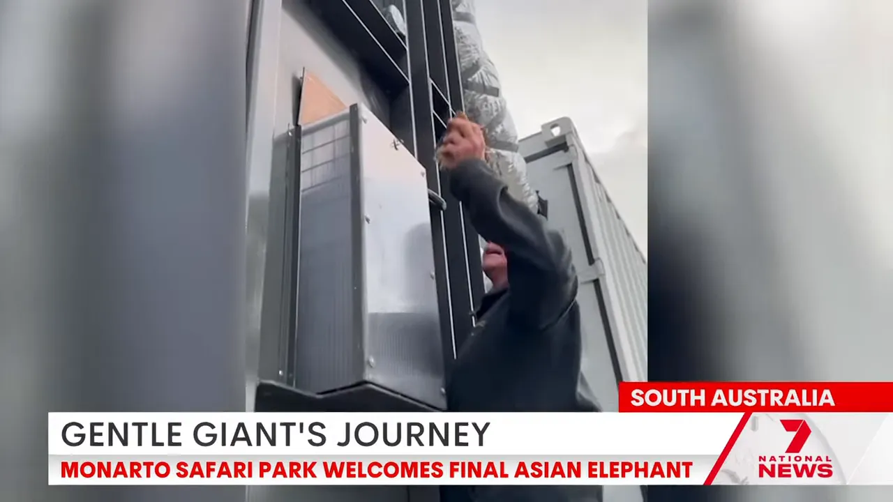 Putra Mass and convoy arriving at the Monarto Safari Park