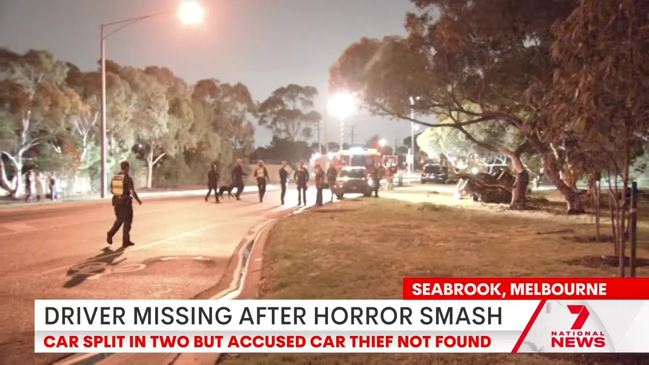 Police officers and police dog walking on road with emergency vehicles and damaged car at night