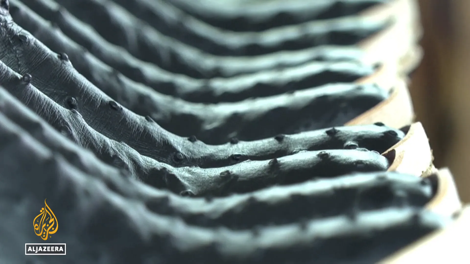 Close-up of ostrich leather used in cowboy boots