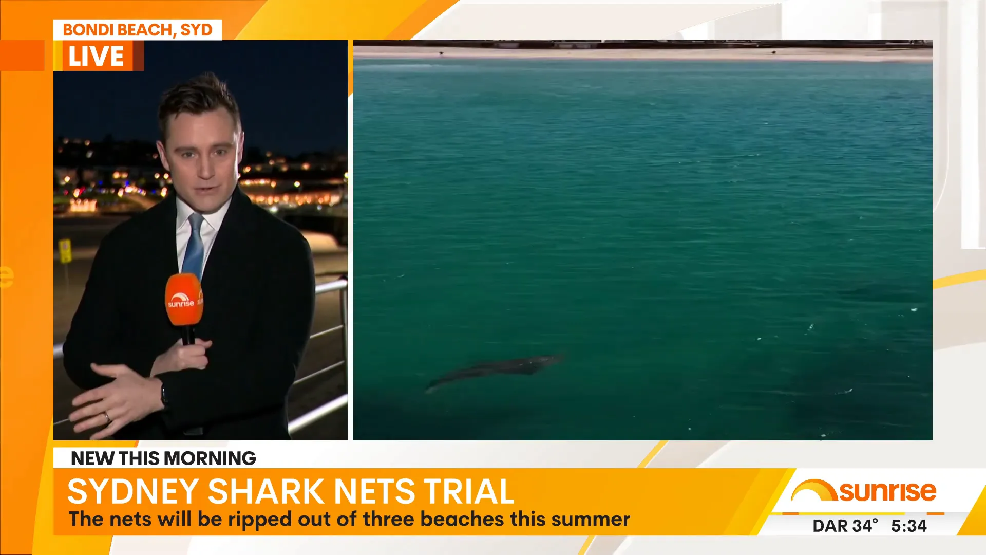 Featured image for the blog, "Sydney's shark net trial begins as three nets brought down across three beaches"