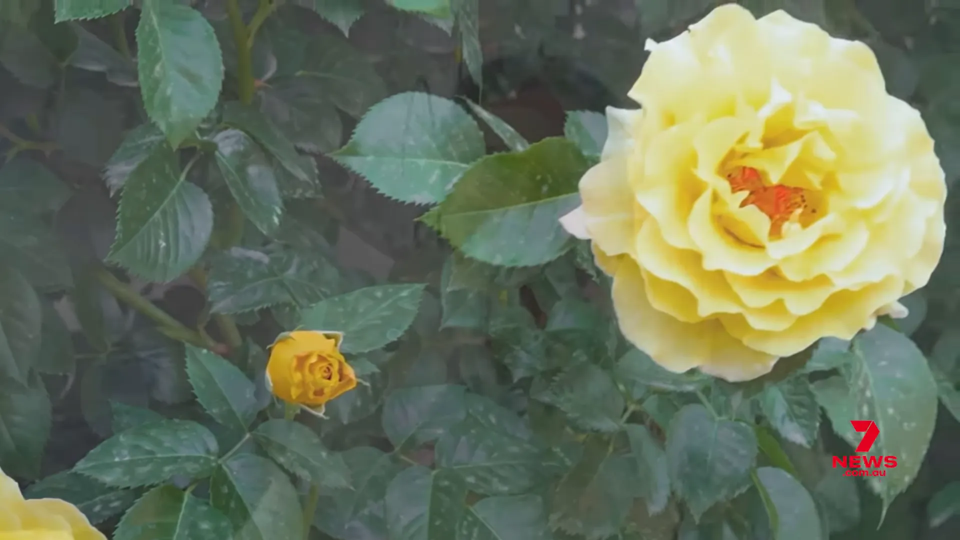 Grave plaque with 'All good' inscription