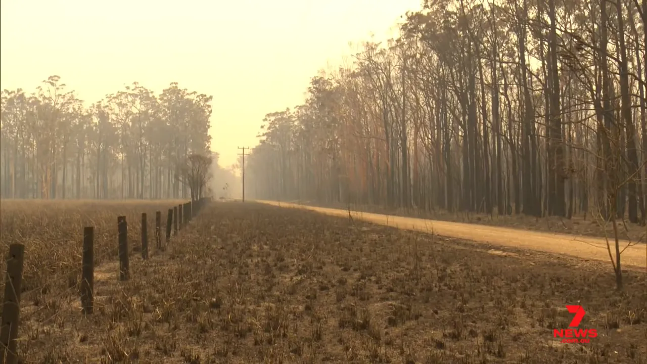 burnt fence line and dirt road with scorched trees and smoke haze