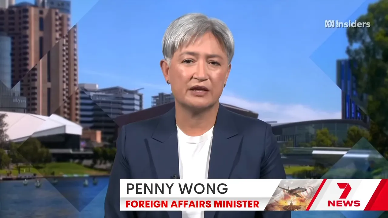 On-camera government official speaking on television about defensive assistance options