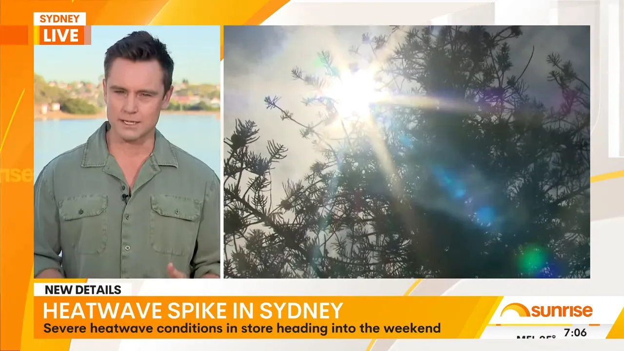 Bright sun shining through tree branches with lens flare illustrating intense heat