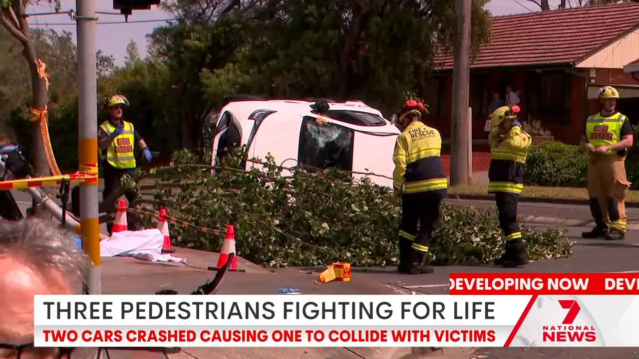 Debris and a fallen tree on Garibbee Road after the collision
