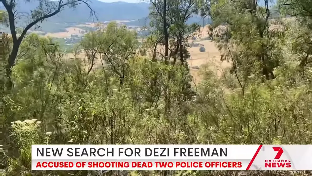 Panoramic view of Mount Buffalo bushland and valley showing the scale of the potential search area, with a news banner at the bottom.