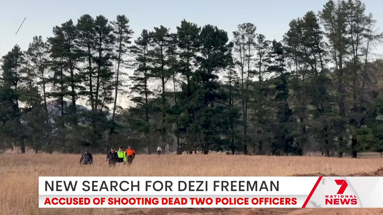 Search teams walking through a grassy field toward a treeline at Mount Buffalo National Park with a news lower-third headline about the new search.