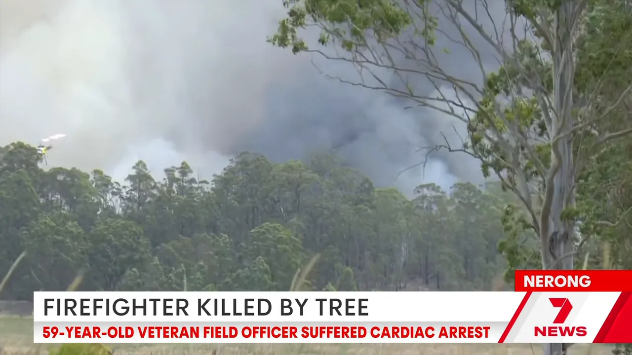 Dense smoke rising through a forest during controlled backburn operations near Nerong, showing the fire‑affected area