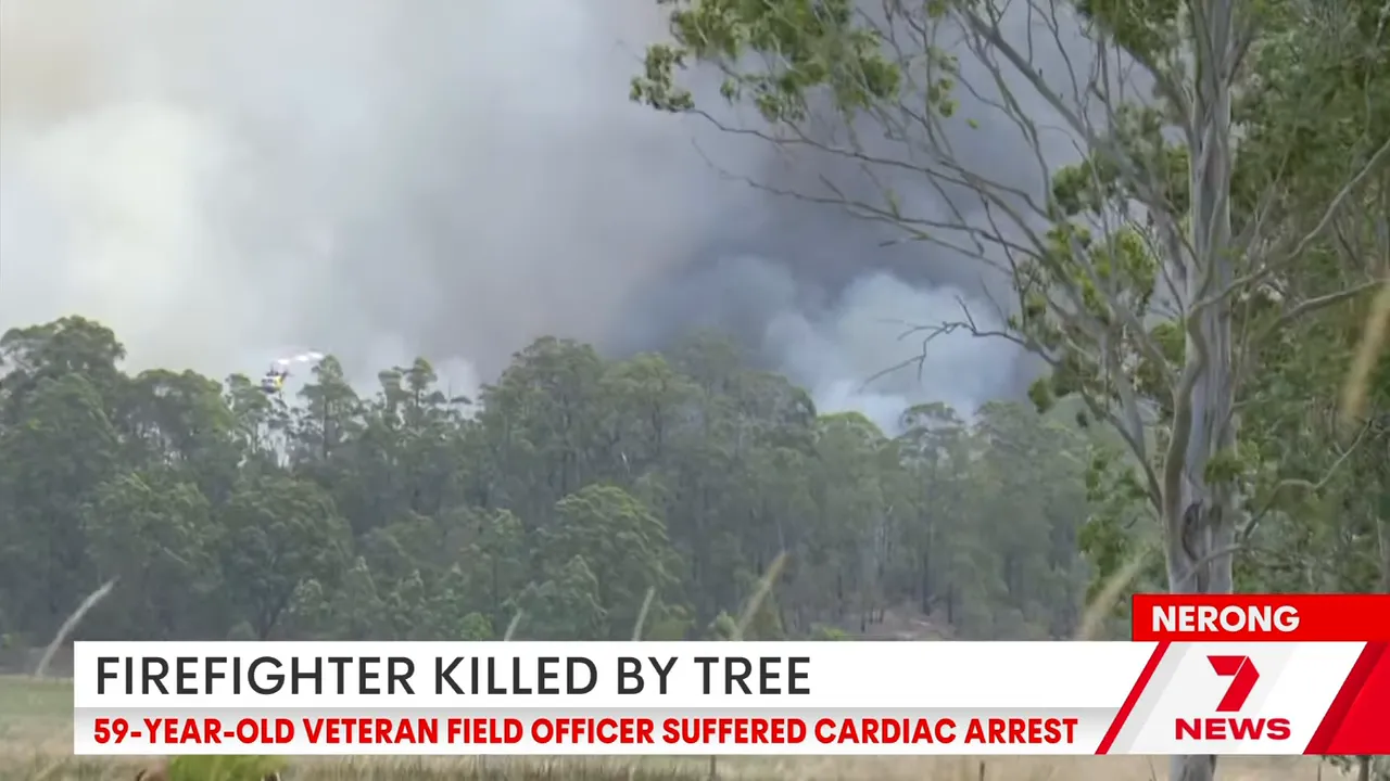 Smoke rising over eucalyptus forest during a bushfire backburn