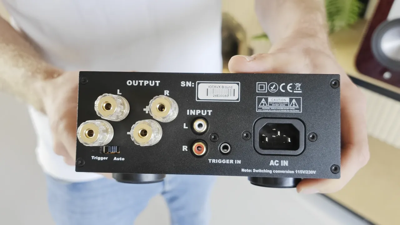 Rückseite der IOTAVX B:ound mit vier Lautsprecherklemmen, zwei Cinch-Eingängen, Trigger-Eingang, Auto-Trigger-Schalter und Netzanschluss