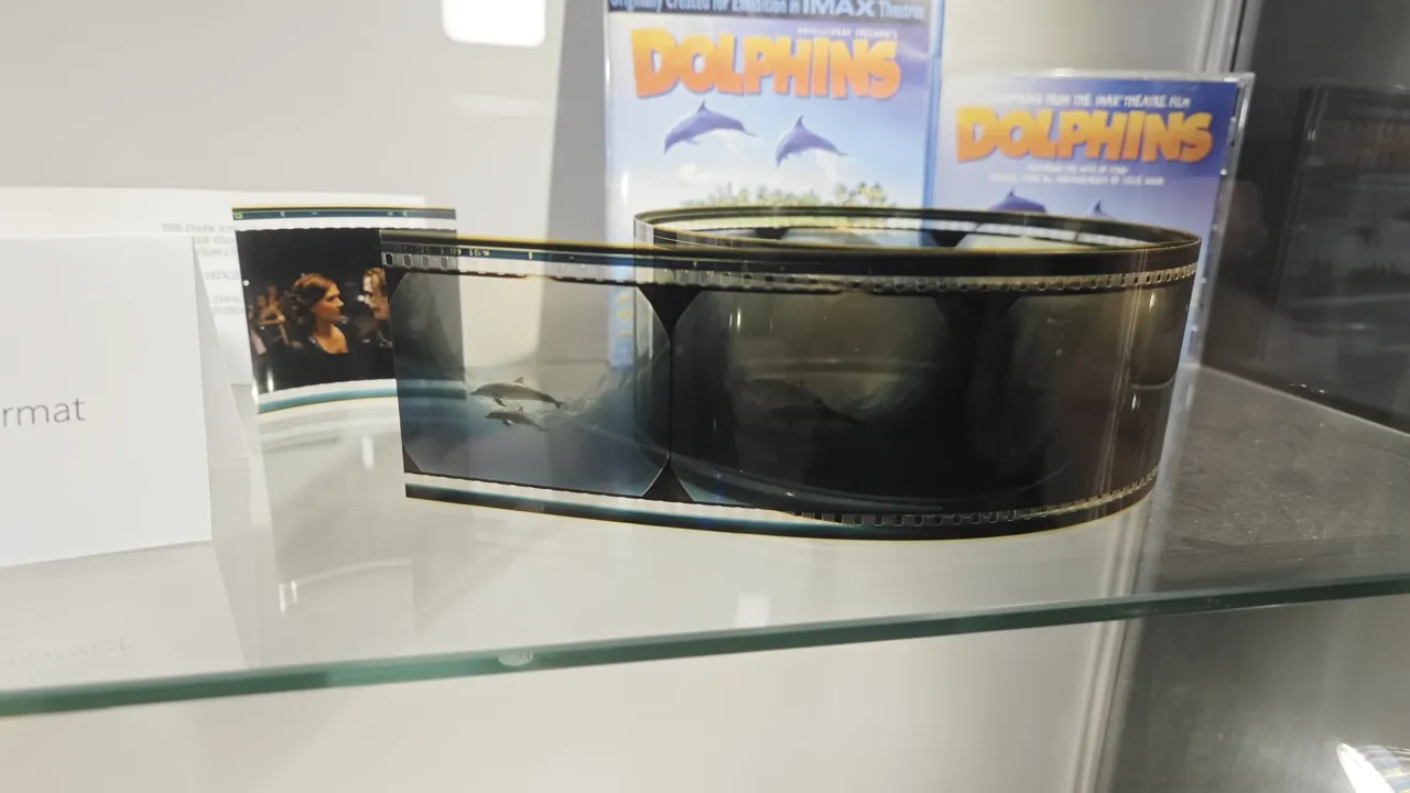 Großformatiger Filmstreifen mit Delfinmotiven in einer Glasvitrine vor Filmhüllen zu Dolphins