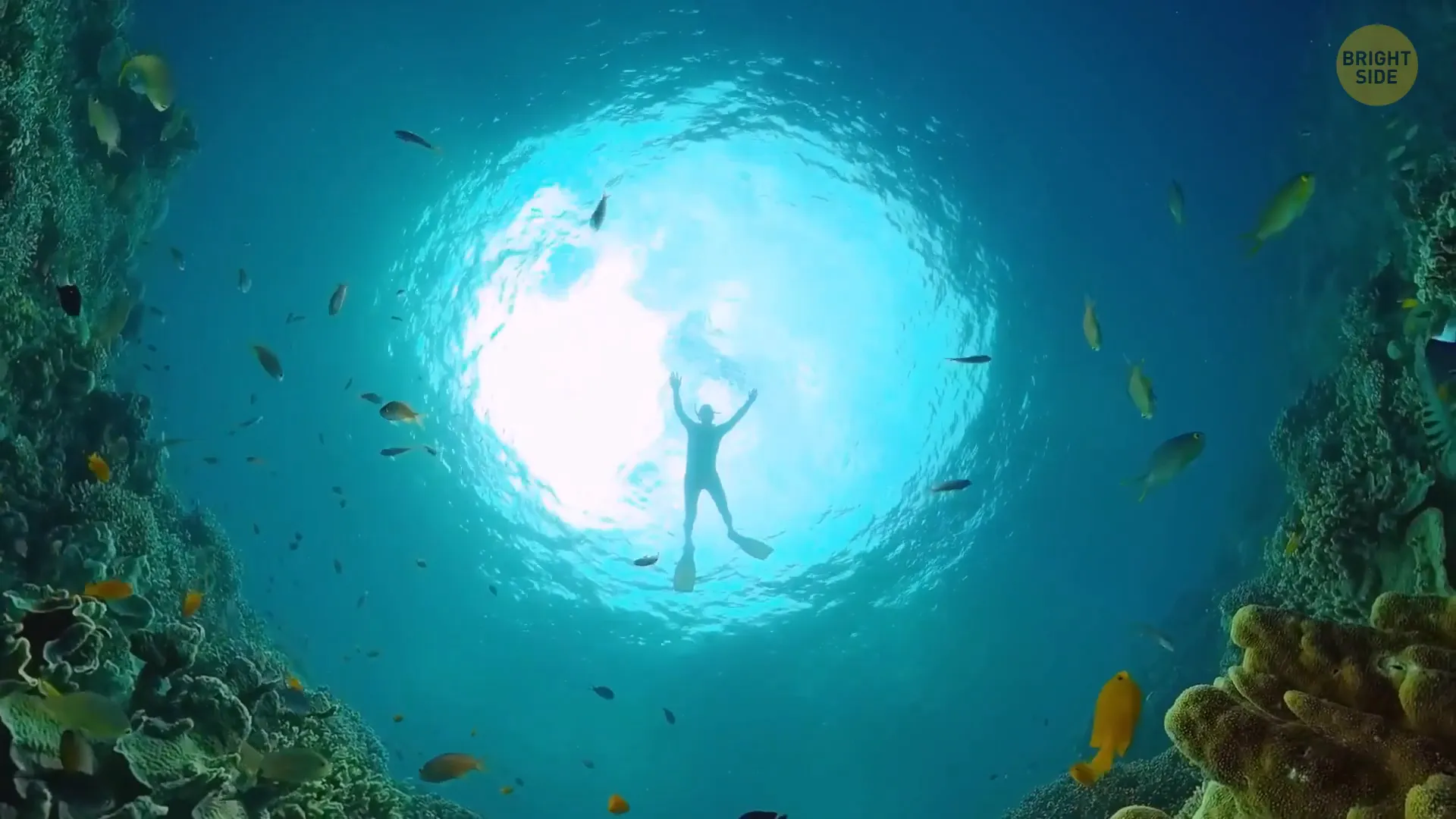 What If Humans Were Cold Blooded? 7 Underwater living for cold-blooded humans