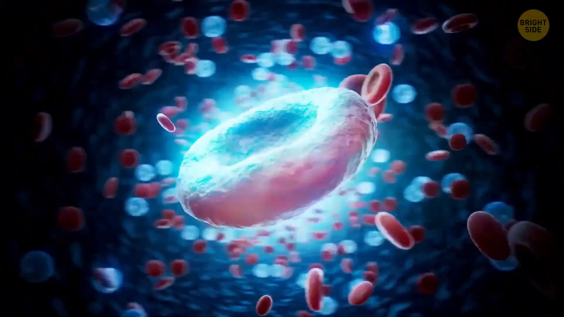 What If Humans Were Cold Blooded? 2 Decrease in bacteria in cold-blooded humans