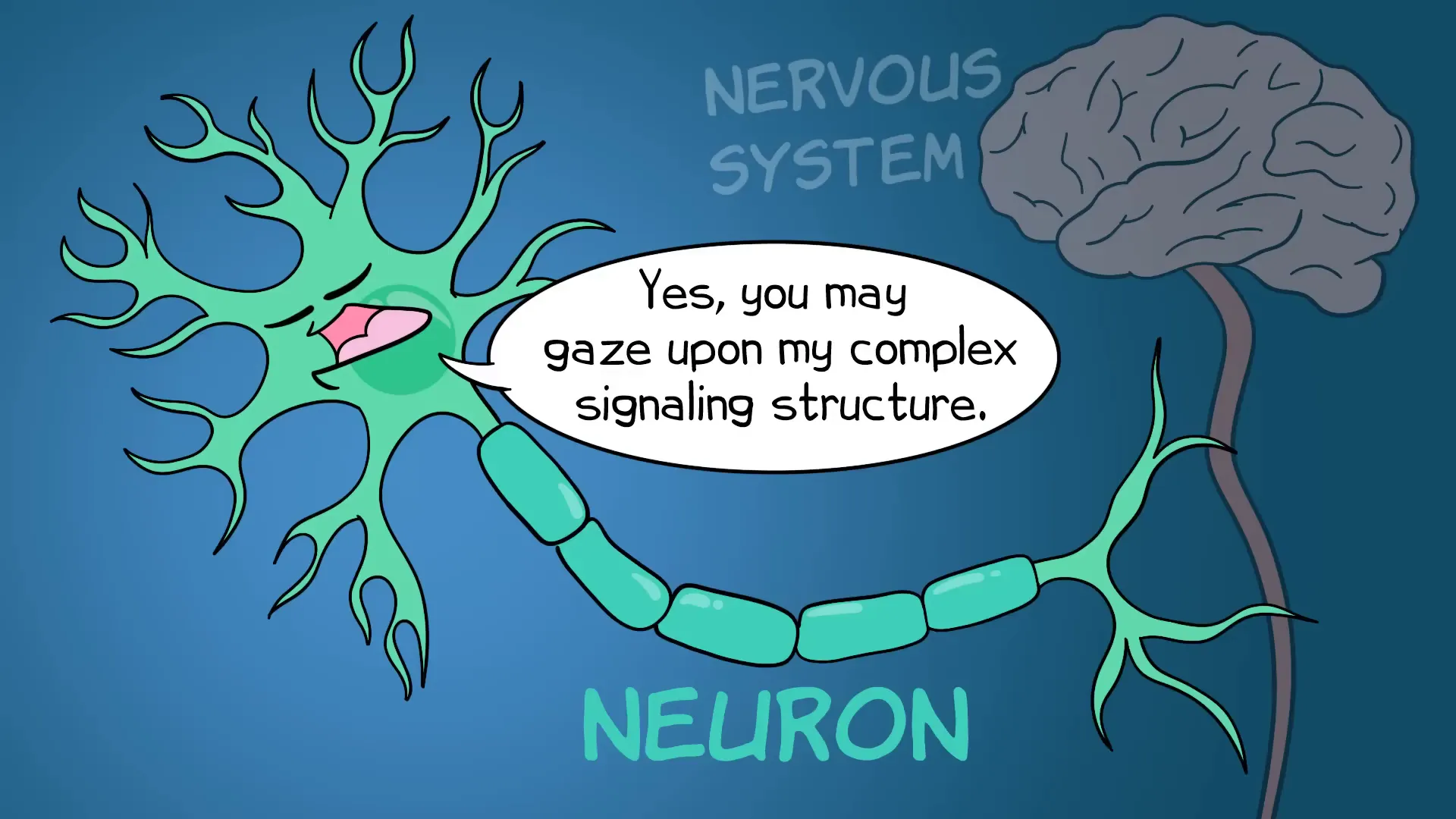 Nervous System: Understanding the Intricacies of Our Body's Command Center 2 Neuron structure