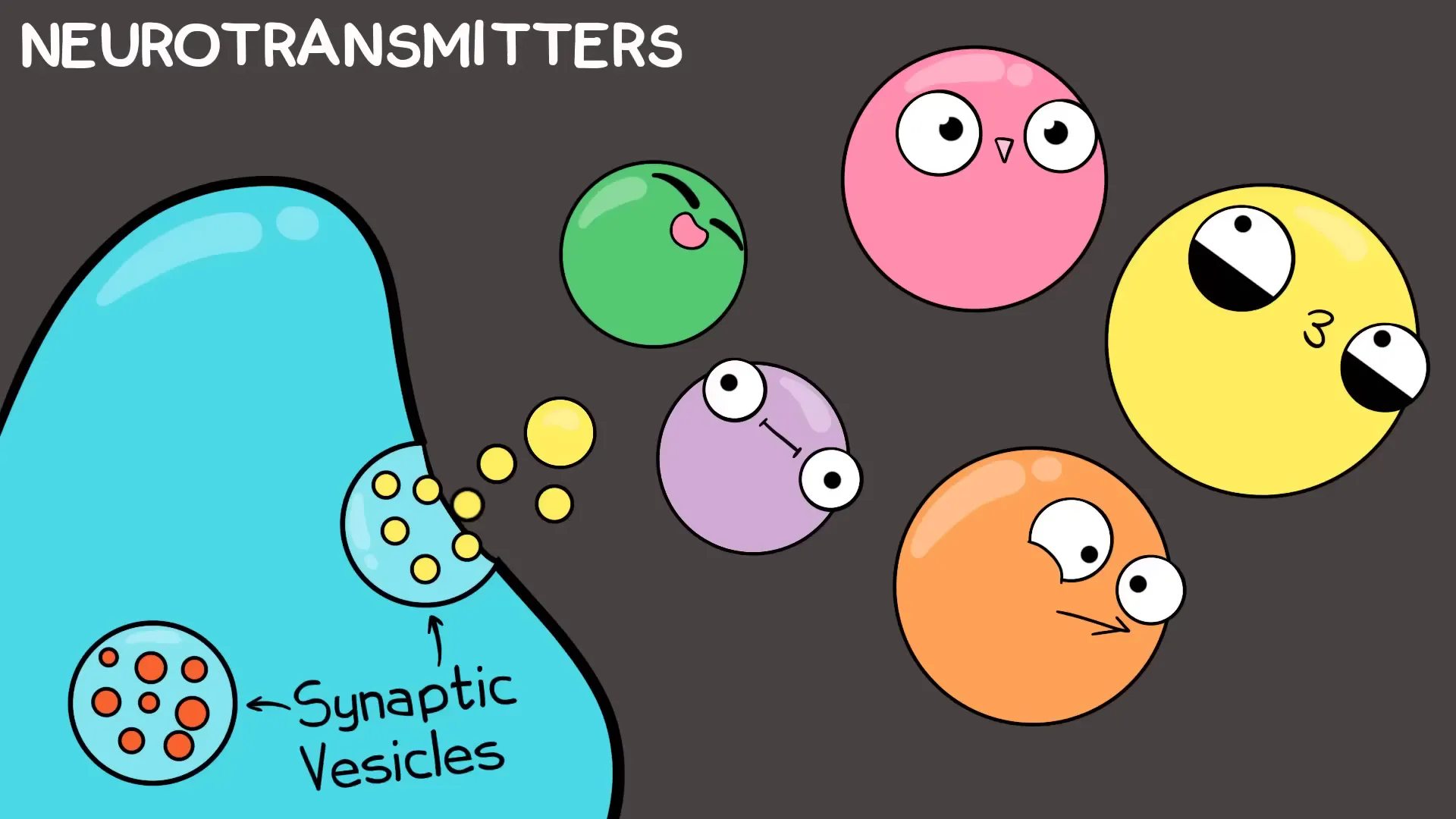 Nervous System: Understanding the Intricacies of Our Body's Command Center 10 Neurotransmitters