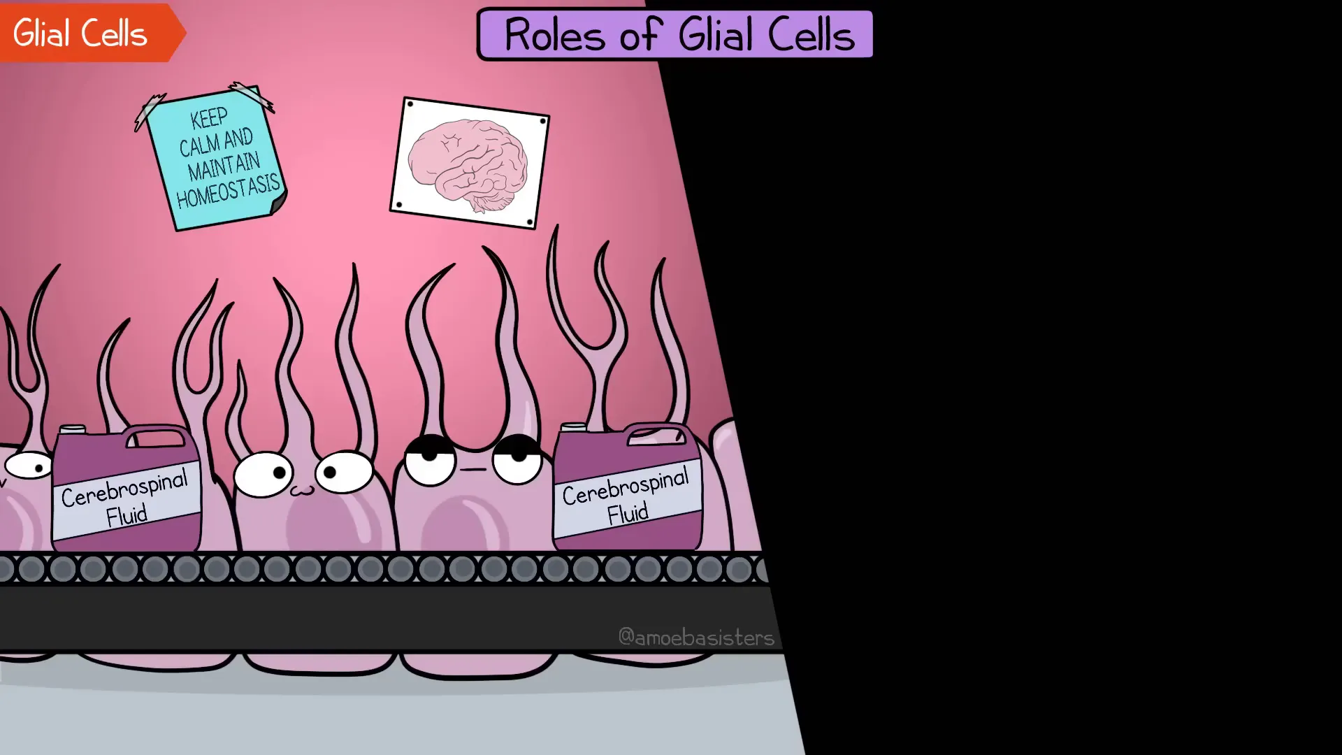 Nervous System: Understanding the Intricacies of Our Body's Command Center 8 Glial cells