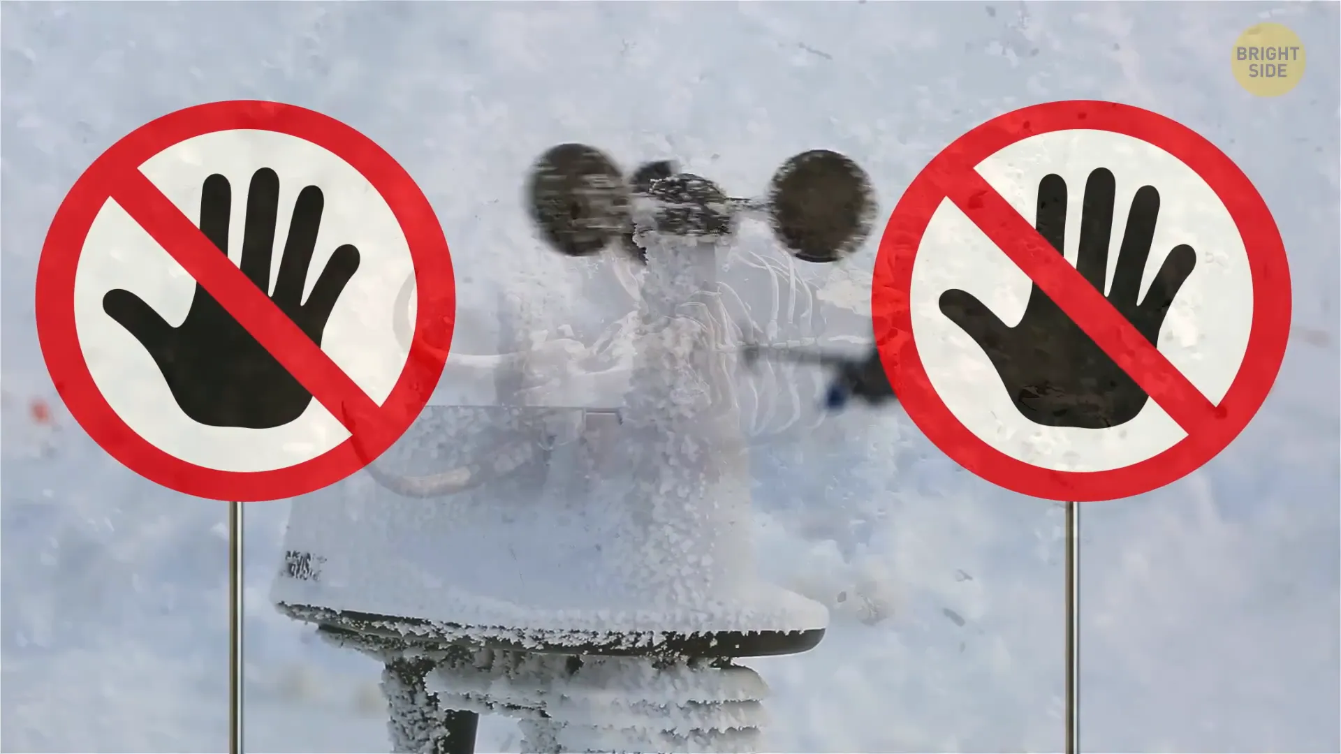 Things Are Banned in Antarctica: What You Need to Know 8 Fossil found in Antarctica