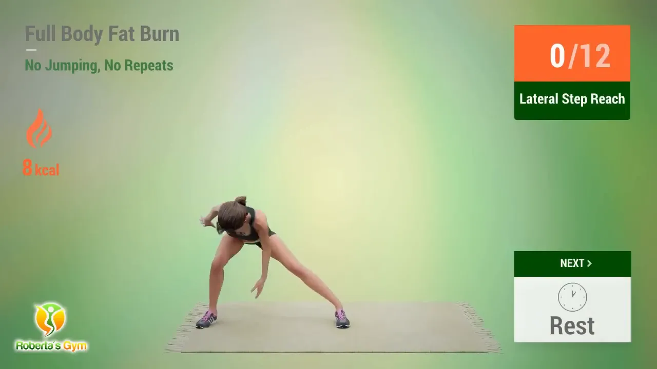 30 Min Full Body Fat Burn No Jumping 4 Lateral Step Reach exercise