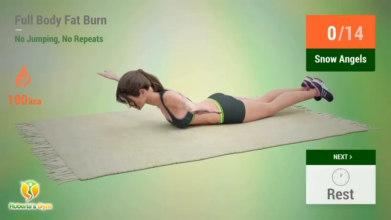 30 Min Full Body Fat Burn No Jumping 18 Snow Angels exercise