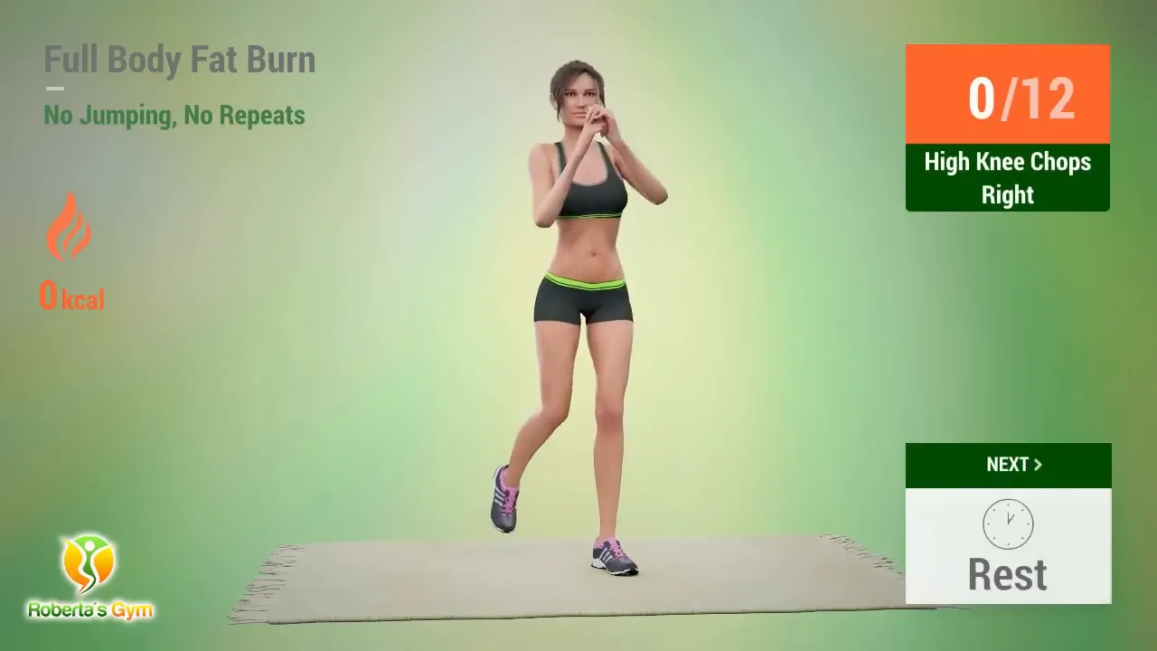 30 Min Full Body Fat Burn No Jumping 2 First exercise: High Knee Chops