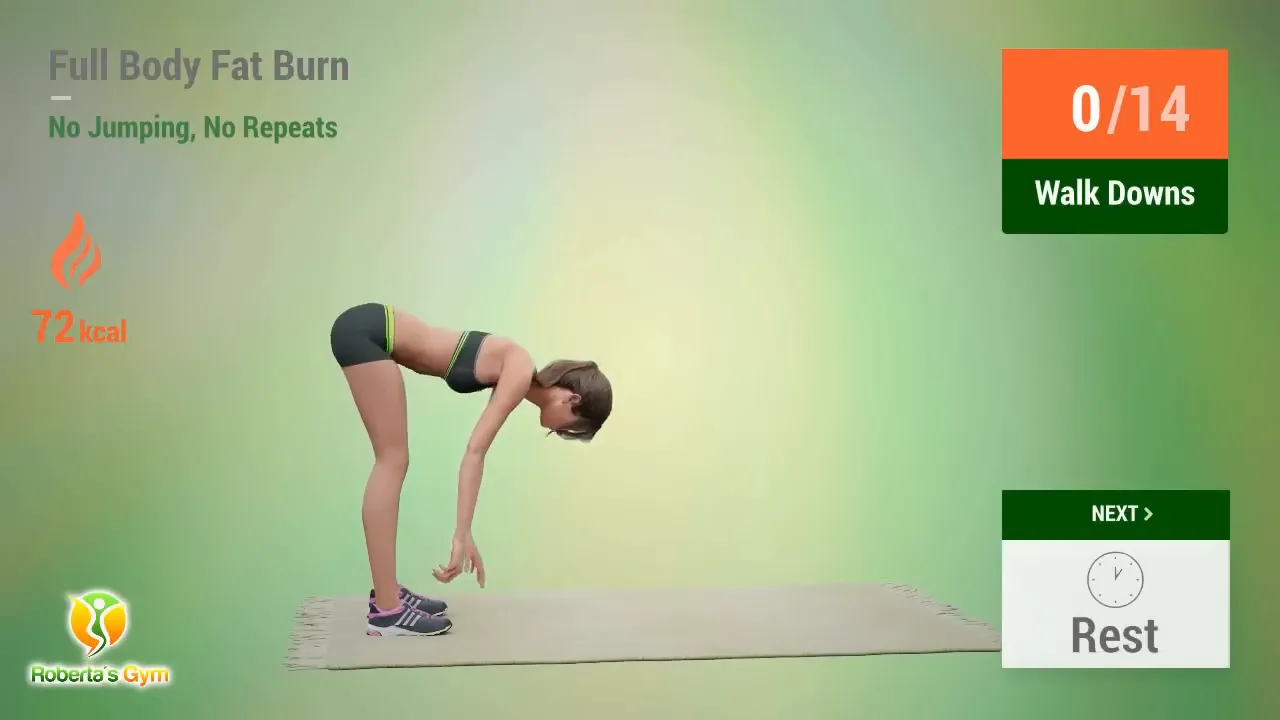 30 Min Full Body Fat Burn No Jumping 14 Walk Downs exercise