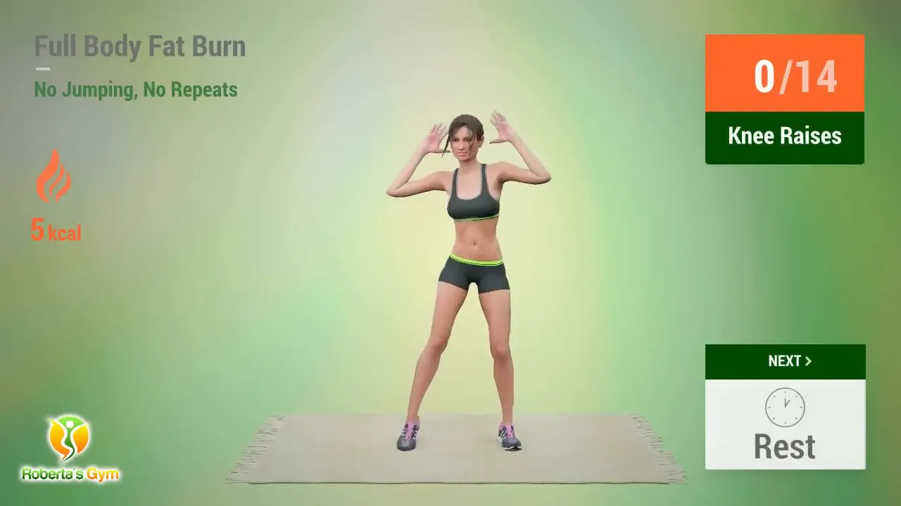 30 Min Full Body Fat Burn No Jumping 3 Knee Raises exercise