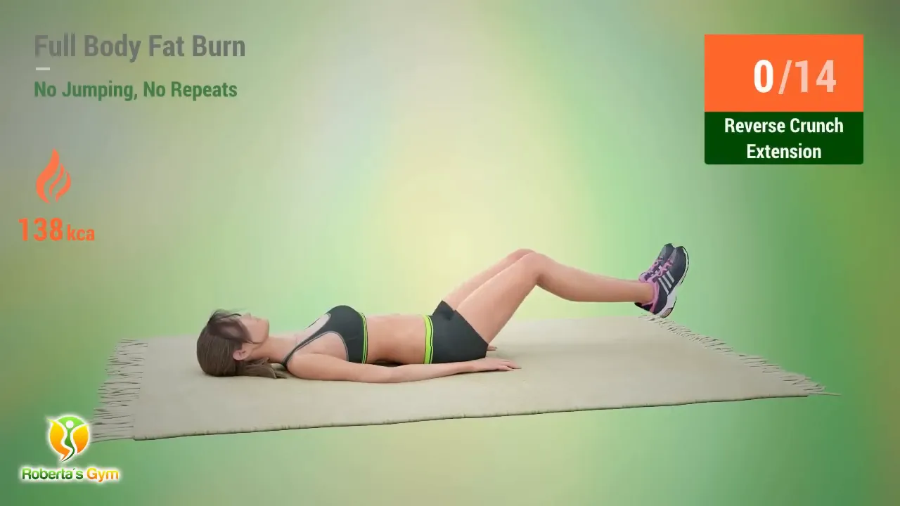 30 Min Full Body Fat Burn No Jumping 23 Reverse Crunch Extension exercise