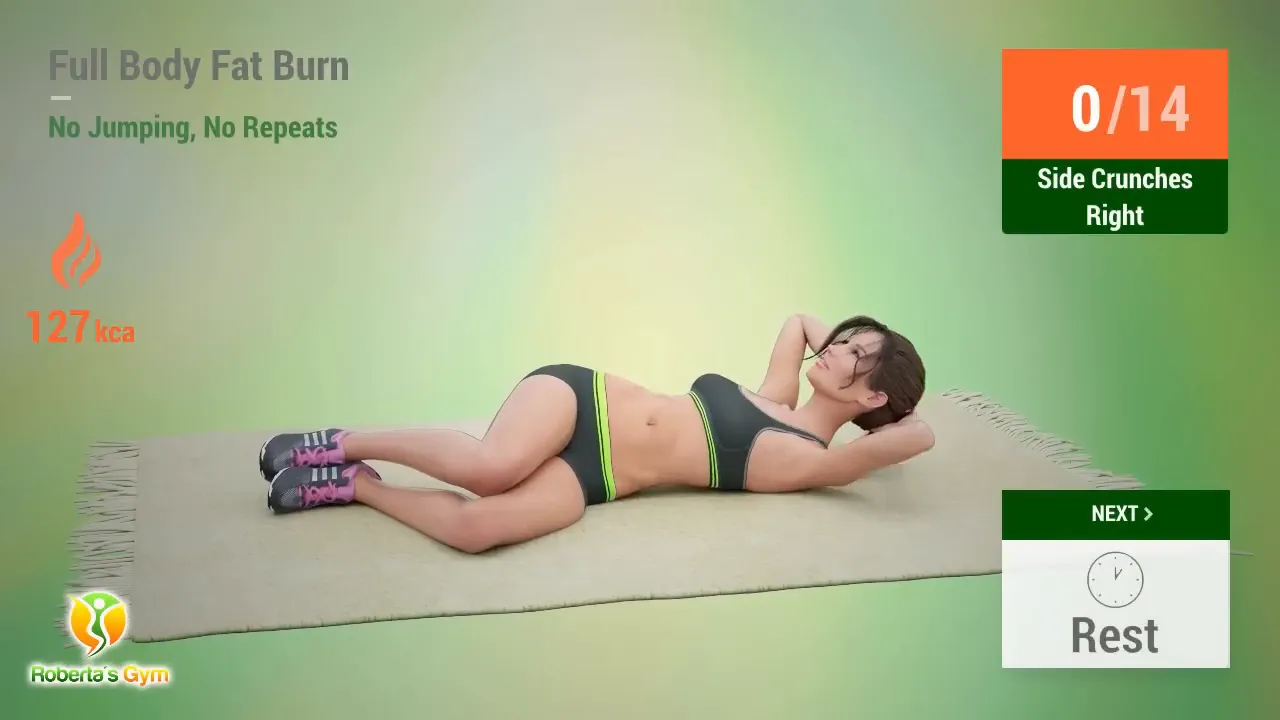 30 Min Full Body Fat Burn No Jumping 21 Side Crunches exercise