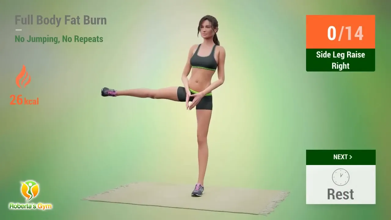 30 Min Full Body Fat Burn No Jumping 8 Side Leg Raises exercise