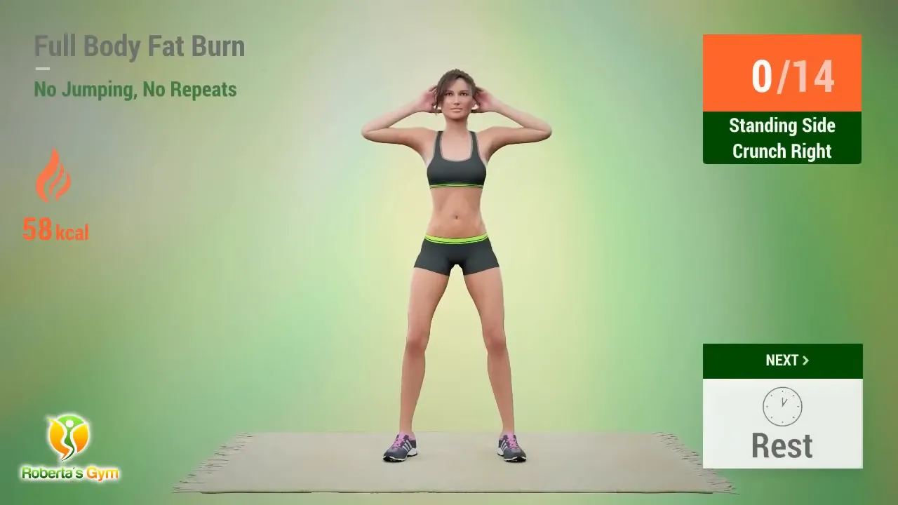 30 Min Full Body Fat Burn No Jumping 12 Standing Side Crunch exercise