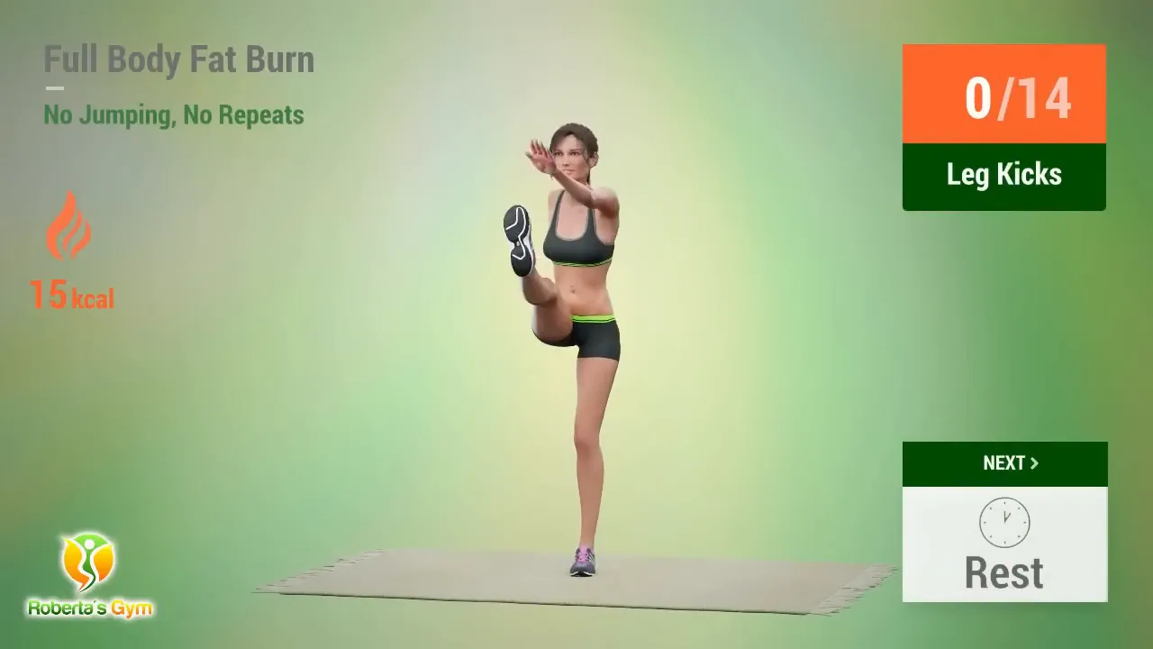30 Min Full Body Fat Burn No Jumping 6 Leg Kicks exercise