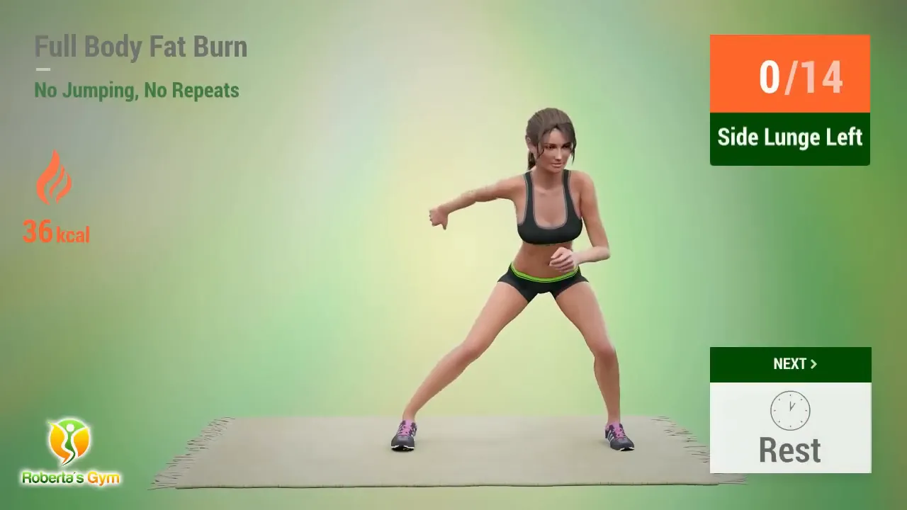 30 Min Full Body Fat Burn No Jumping 9 Side Lunges exercise