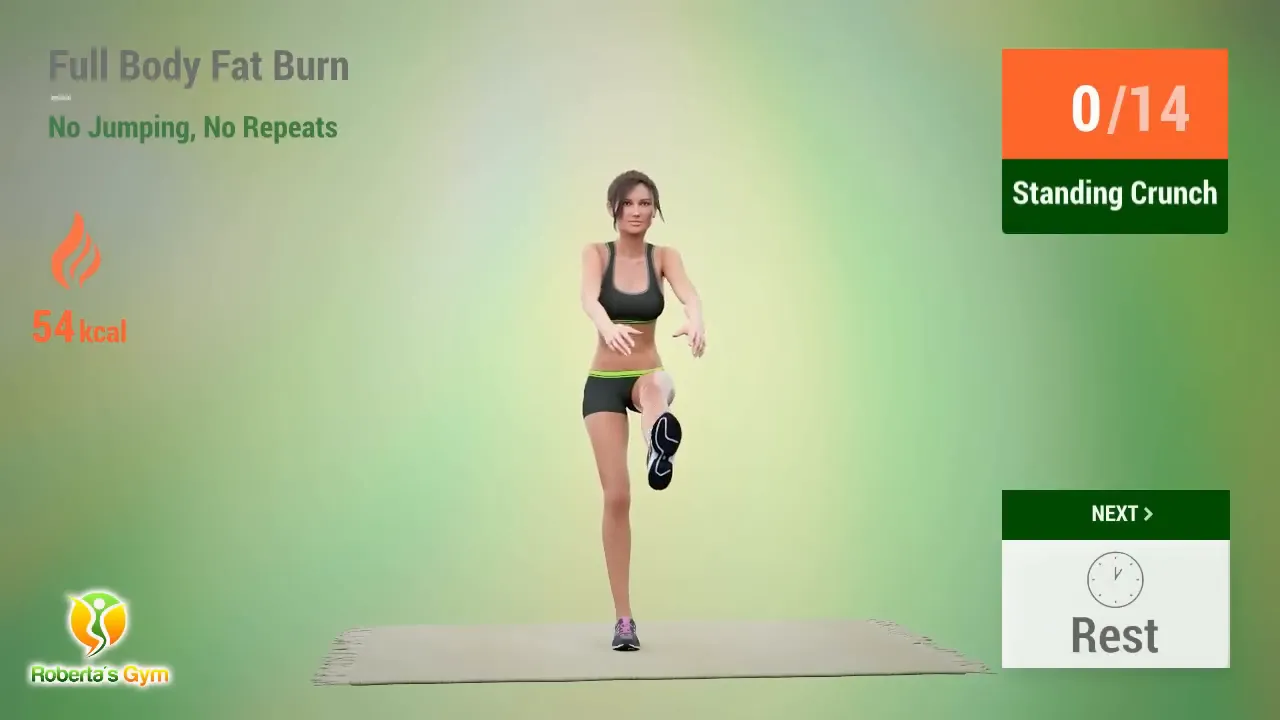 30 Min Full Body Fat Burn No Jumping 11 Standing Crunch exercise