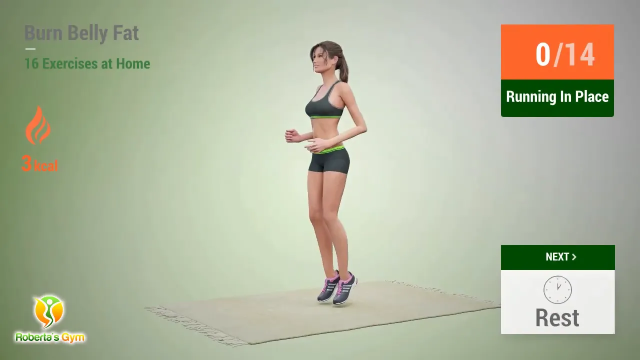 Burn Belly Fat Exercises: Your Ultimate Guide to Home Workouts 3 Running in place exercise