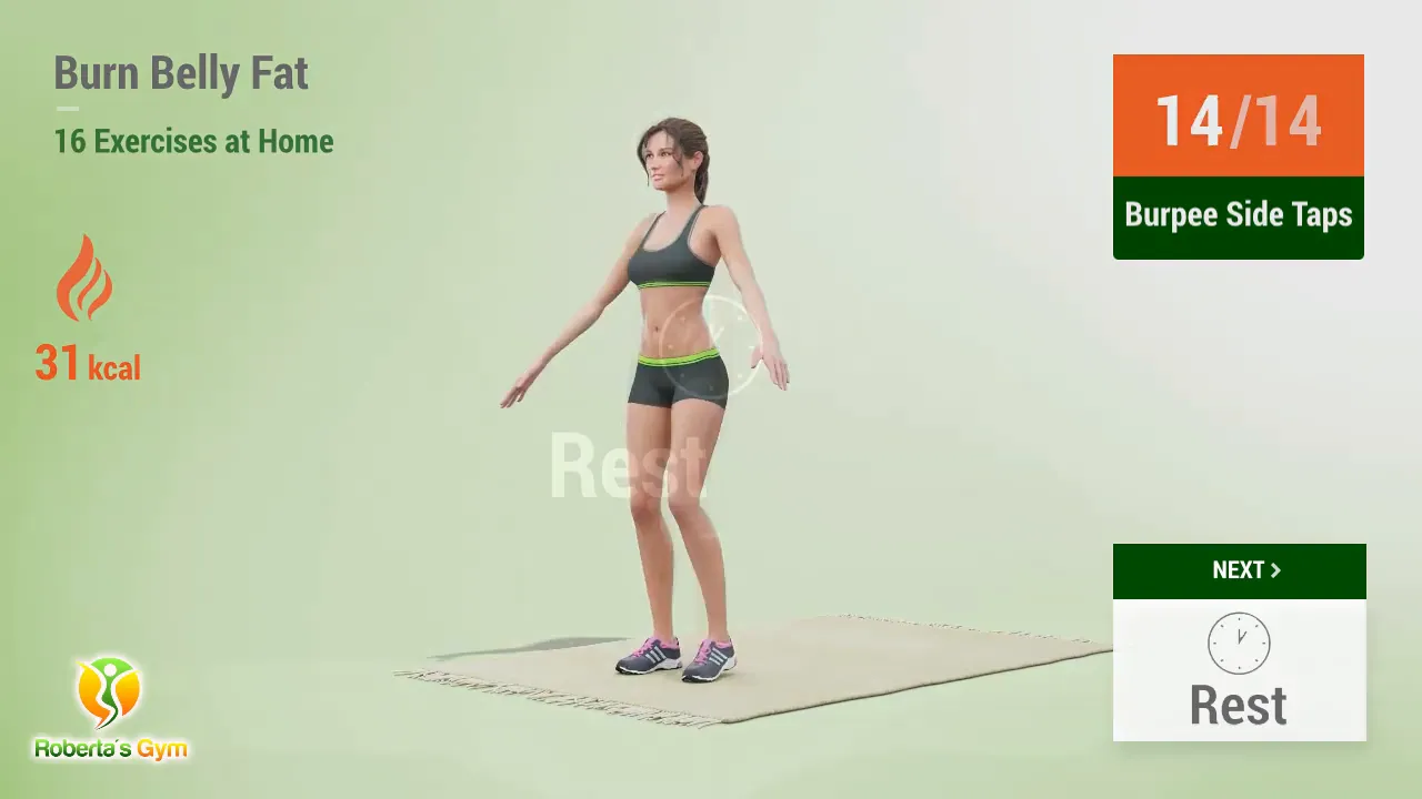 Burn Belly Fat Exercises: Your Ultimate Guide to Home Workouts 9 Burpee side taps exercise