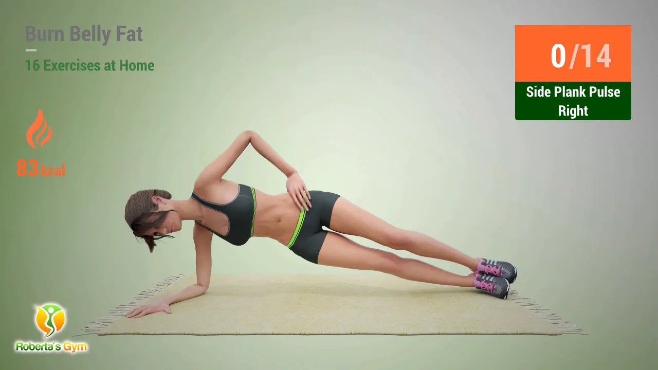 Burn Belly Fat Exercises: Your Ultimate Guide to Home Workouts 17 Side plank pulse exercise