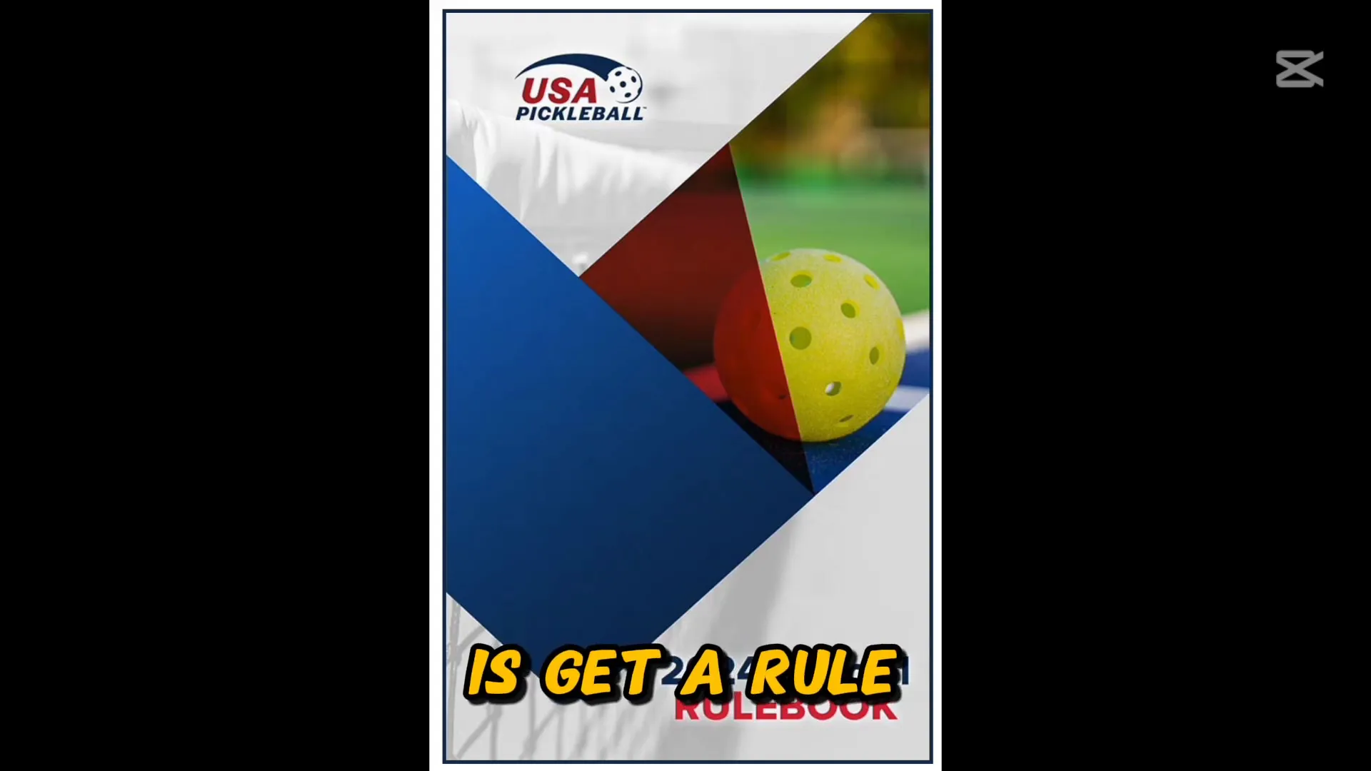 Happy playing pickleball