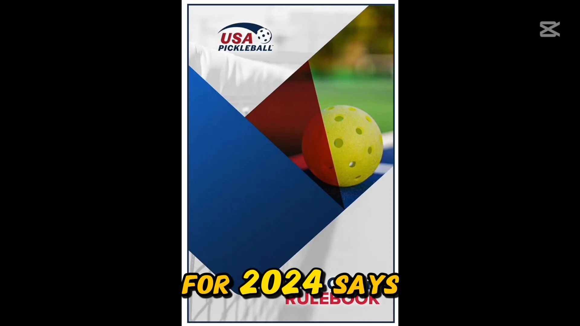 2024 USA Pickleball Official Rule Book