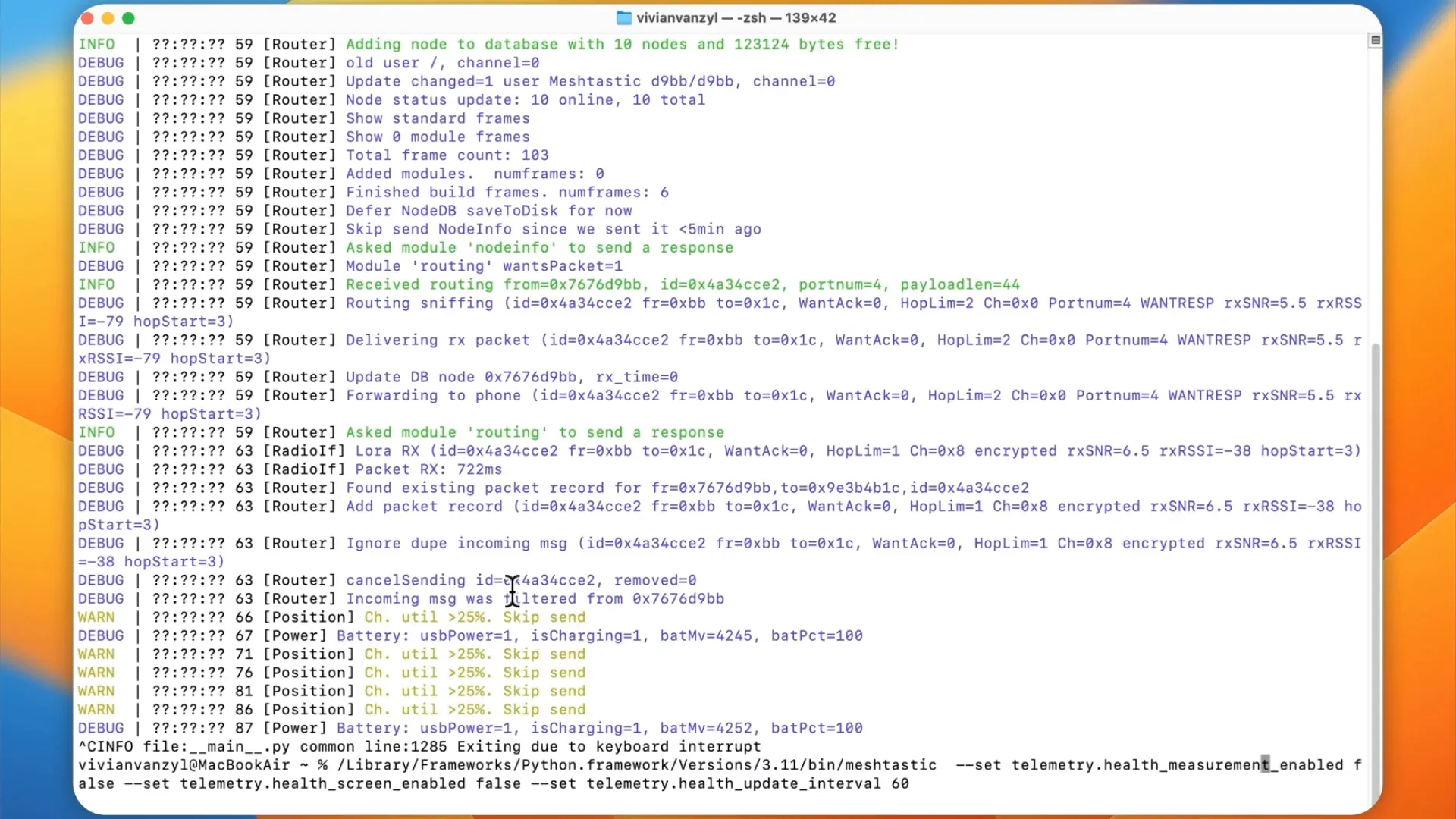 Entering commands in Meshtastic CLI