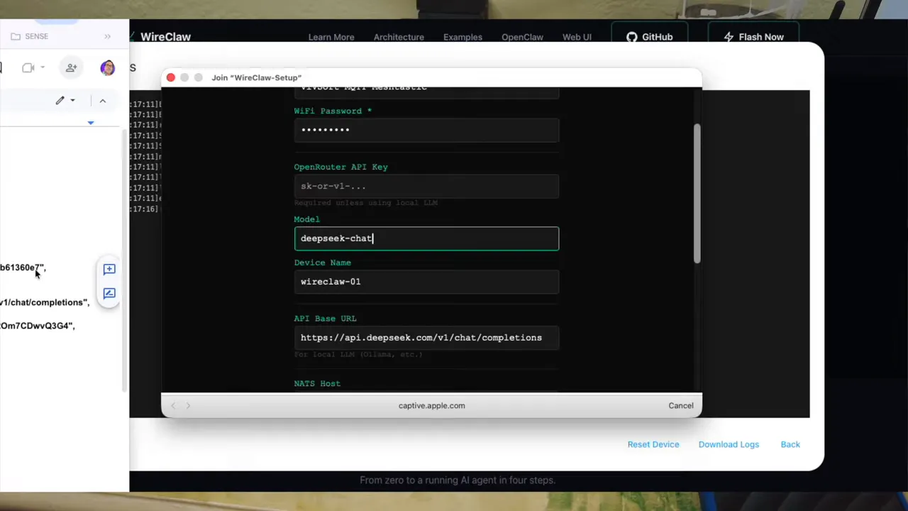 WireClaw setup form with the model field set for DeepSeek chat and fields for Wi‑Fi and device name