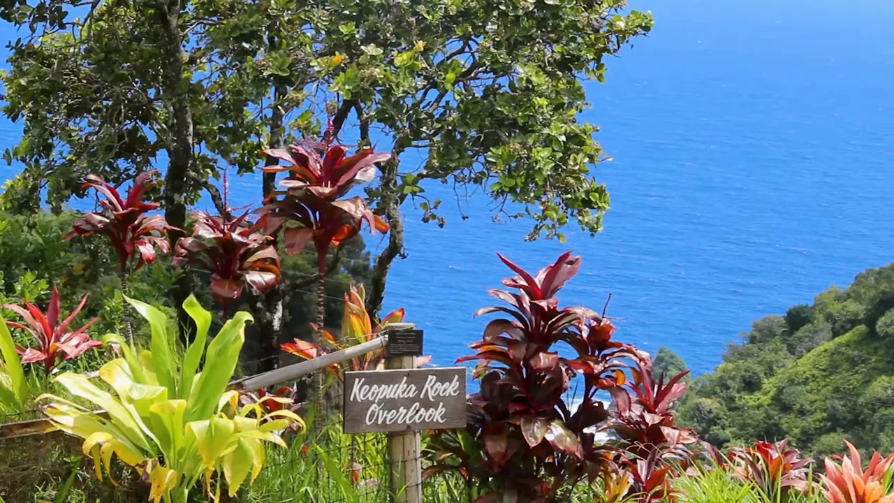 Keopuka Rock overlook with vivid blue ocean and foreground tropical plants at Garden of Eden Arboretum