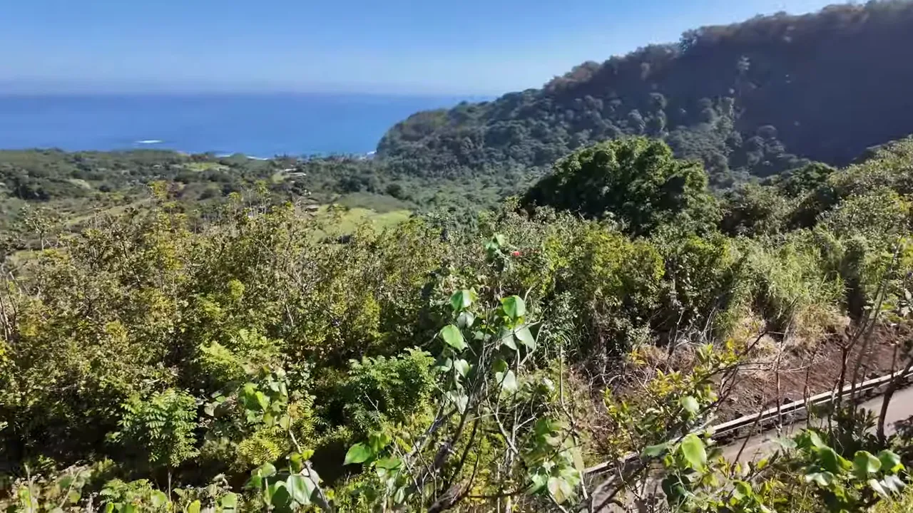 Panoramic valley view with shrubs in the foreground and the ocean on the horizon at the Wailua Valley overlook.