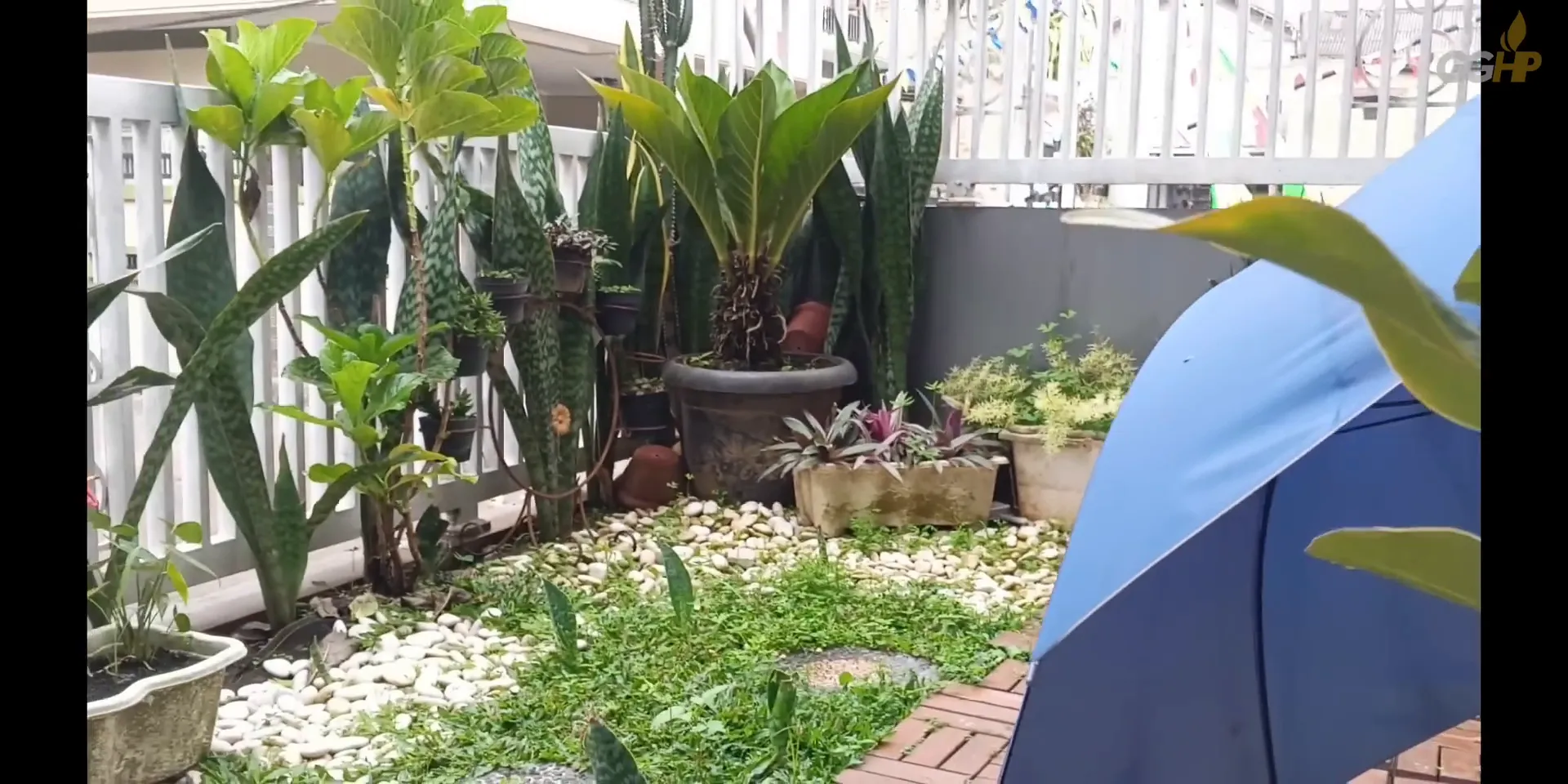 Contoh pengujian perekaman video sambil berjalan dan panning kecil untuk mengecek stabilisasi