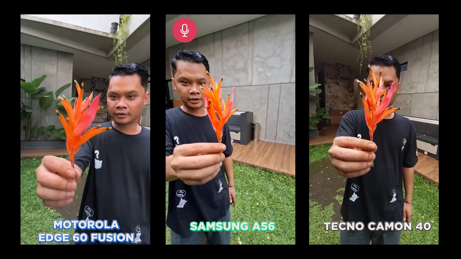 Perbandingan hasil foto kamera utama dan selfie Motorola, Samsung, dan Tecno