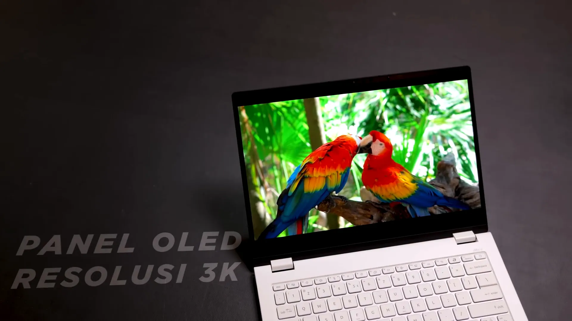 Layar OLED 3K 120Hz Acer Swift Edge 14 AI dengan sertifikasi warna lengkap