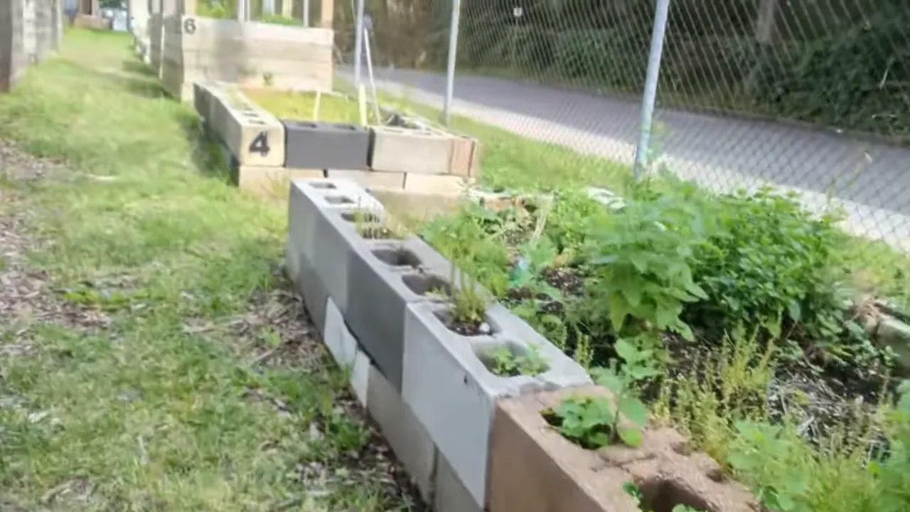 multiple raised garden beds in a row with black number markers attached